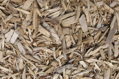 biomass boilers Meaver